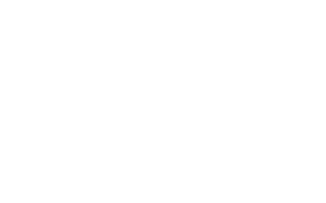 Block Reign Inc.